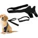 JISADER Pet Knee Support Brace for Enhanced Comfort and Mobility M 18.5 to 29.4cm - Buy Online on SooperMarket.com