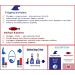 ROYAL. Seal Oil OMEGA-3+6+9 (300 Softgels) 300 count (Pack of 1) - Buy Online on SooperMarket.com