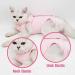Cat Recovery Suit for Abdominal Wounds and Skin Diseases - Vet Recommended E-Collar Alternative - Medium Pink - Buy Online on SooperMarket.com