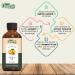Organic Zing Apricot Oil Pure & Natural for Skin Face Hair Care Aroma Therapy Diffuser Conditioner - 30ml - Buy Online on SooperMarket.com