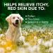 Vets Best Allergy Relief for Dogs - 250ml Spray | Fast-Acting Relief for Itchy Skin & Seasonal Allergies | Shop Internationally - Buy Online on SooperMarket.com