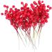 ABOOFAN 48 Pcs Christmas Greenery Garland Christmas Party Favors Artificial Pine Picks Christmas Floral Picks Red Berries Picks Christmas Berry Picks Diy Artificial Pine Tree Branch - Buy Online on SooperMarket.com