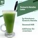 Matchaeco 50g Japanese Turmeric Matcha Green Tea Powder | Stone Ground Ceremonial Grade From Japan | Vegan Baking & Matcha Latte | Pesticide-Free | Eco-Friendly Packaging - Buy Online on SooperMarket.com