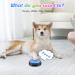 4 Packs Dog Buttons for Communication and Training Recordable Dog Buttons Pet Command Buzzer 30 Second Record & Playback Speech Training Buttons for Dog Cat Training Interactive Toy - Buy Online on SooperMarket.com
