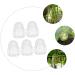 SUPVOX 5pcs Vegetable Fruits Adorable Growing Mini Growth Pear Statue Fruit Gardening Melon - Buy Online on SooperMarket.com