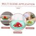COOLHIYA Fruit Tray Glass Food Container Food Tray Terrarium nut Serving Tray Dessert Bowl Salad Bowl Counter Green 23.5X23.5X6CM - Buy Online on SooperMarket.com
