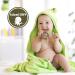 Vicloon Octopus Teething Toy for Baby | Silicone and Wood Chew Toy | Easy to Hold and Clean | Teether Chewlery for Boys & Girls (Green) - Buy Online on SooperMarket.com