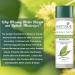 Biotique Bio Morning Nectar 120ml - Hydrating Natural Face Serum for All Skin Types | International Shipping Available - Buy Online on SooperMarket.com