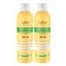 Babo Botanicals Sheer Zinc Continuous Spray Sunscreen SPF 30 with 100% Mineral Active Unscented 12 Fl Oz (Pack of 2)