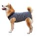 Heywean Hundebody after op castration wound protection suits for dogs professional pet recovery suit dog Medical Shirt body suit after the operation dog pet surge suit for dogs XL (pack with 1) blue