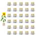 Eggone Flower Frog Mini Kenzan Japanese Ikebana Floral Frog 23mm/0.9inch Diameter Pin Frog Flower Arranger Holder for Small Vase (30Pcs)