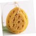2pcs Exfoliating Bath Sponge Set | Back Scrubber & Body Wash Accessories | Ideal for Shower & Skin Cleaning - Buy Online on SooperMarket.com