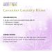 Aura Cacia 100% Pure Lavender Essential Oil 0.25 fl. oz. | GCMS Tested, Lavandula angustifolia - Buy Online on SooperMarket.com