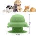 MoYouno Newborn Pet Feeder Set - 4 Teats Puppy Bottles & Silicone Milk Bowl 150 ML - Ideal for Nursing Puppy, Kitten, Squirrels - Green - Buy Online on SooperMarket.com