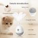 PETGEEK Laser Pointer Cat Toy - Interactive Kitten Toy with Bird Squeaky - Automatic Rotating Cat Laser Pointer - Indoor Cat Toys Gray - Buy Online on SooperMarket.com