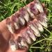 Home Decoration Stone 1/4 lb Lot Brazilian Rough Amethyst Points Raw Crystals Balance Gemstone Decoration - Buy Online on SooperMarket.com