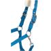 RL24 Halter with Plush Padding - BASICLINE in 6 Colors for Shetty Pony Thoroughbred Warmblood | Turquoise Shetty - Buy Online on SooperMarket.com