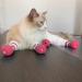 Buy 4-Piece Silicone Anti-Scratch Cat Shoes & Nail Gloves - Pink Perfect Claw Covers for Cats! - Buy Online on SooperMarket.com