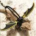 Bearded Dragon Lizard Leash Harness - 3 Size Pack Lizard Wing Traction Harness Leash for Lizard Reptiles Amphibians Small Pet Small/Medium/Large - Buy Online on SooperMarket.com