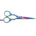 Haryali London Professional 5.5 Hairdressing Barber Scissors - Hair Cutting Salon Shears with Razor Sharp Edges - Gift Box Included - Buy Online on SooperMarket.com