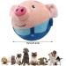 Gobesty Active Moving Pet Plush Toy Moving Dog Toy Electronic Plush Interactive Dog Toys active moving pet plush toy - Buy Online on SooperMarket.com
