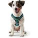 HUNTER HILO COMFORT Harness for Small Dogs - Mesh & Reflective Elements Turquoise ML - International Shipping Available - Buy Online on SooperMarket.com