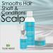Taliah Waajid Scalp Care Follicle Therapy Shampoo | Natural Treatment for Thinning Hair & Hair Loss | Wild Sea Moss Rosemary & Aloe | 8oz - Buy Online on SooperMarket.com