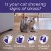 Feliway Optimum Refill Purple Package may vary 3 Count ( Pack of 1) - Buy Online on SooperMarket.com