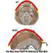 Jadedragon Multicam Camouflage Helmet Cover for Ops-Core FAST PJ Helmet - Size M/L - Buy Online on SooperMarket.com