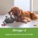 Now Foods Omega-3 for Dogs & Cats - Fish Flavor Softgels 180 ct | Pet Health Support - Buy Online on SooperMarket.com