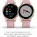 Garmin V voactive 4S Renewed Smartwatch | GPS, Music, Body Energy Monitoring | Light Gold/Light Pink Band - 40mm - Buy Online on SooperMarket.com