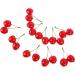 ABOOFAN 20 Pcs Artificial Cherry Artificial Foods Photo Props Fake Cherry Model Display Fruit Models Realistic Fruits Cherry Play Kitchen Fruit Toy Child Plastic Top Hat Kitchen Cabinet - Buy Online on SooperMarket.com