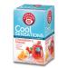 Teekanne Strawberry & Orange Cold Brew TeaInfusion Ice Cool Sensations All Natural Real Fruit with Hibiscus Rosehip Apple 18 Teabags