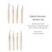 8pcs Eyelash Extension Tweezers Set - Curved & Straight Stainless Steel Beauty Tools for Professional Eyelash Application - Buy Online on SooperMarket.com