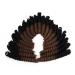 3 Packs Eunice Hair Saniya Curl synthetic ombre lichen hair braids free hook gift crochet braids bouncy lured saniya curls 20 roots/pack (10 inch 1b 30) 10 inch (3 packs) 1b 30