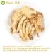 Buy Organic Angelica Root 70g - Dried Cut Root & Tea | Premium Archangelica Officinalis for Herbal Remedies - International Shipping - Buy Online on SooperMarket.com