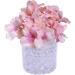 EBOOT 10000 Gel Soil Water Crystal Beads - Clear Jelly Water Gems Vase Filler - Buy Online on SooperMarket.com