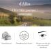 Buy d'Alba White Truffle Multi Treatment Eye Cream 1.01 oz â€“ Anti-Aging & Hydrating Formula - Buy Online on SooperMarket.com