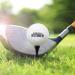 Golf Funny Gift Set for Golfers - Perfect Gag Novelty Present for Retirement - Buy Online on SooperMarket.com