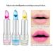 Petansy 3 Colors Jelly Flower Lipstick Set - Waterproof and Durable Lip Makeup - Gift Box Included (3 Pcs) - Buy Online on SooperMarket.com