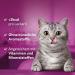 Whiskas Vitamin E-Xtra Cat Snack - Immune Support - 8x50g Packs - Different Packaging Available - Buy Online on SooperMarket.com