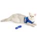 Ranphy Cat Dishes with Leash - Soft Fabric Harness & Breakable Paddle for Small & Adult Cats - Blue - Buy Online on SooperMarket.com