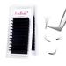 Fadlash Easy Fan Lashes D Curl 0.03 17mm Single Lashes Russian Lashes Natural Look Self Fanning Eye Lashes Automatic Blooming Russian Eyelashes Extensions(0.03-D-17) 17 mm 0.03-D