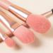 Buy DFHBFG Makeup Brush Set - Essential Beauty Tools for Flawless Concealer Blush and Eye Shadow - International Shipping Available - Buy Online on SooperMarket.com
