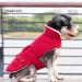 KYEESE Dog Cold Weather Coat | Windproof Padded Sherpa Warm Jacket for Large Dogs | Red XX-Large | Leash Hole | Dog Apparel - Buy Online on SooperMarket.com