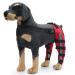 Knee Brace for Dogs ACL with Reflective Strips Knee Dislocation Arthritis Keeps The Joint Warm and Stable Extra Support Reduces Pain and Inflammation (XS)