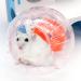2 Pieces Hamster Ball 12cm Small Animals Dwarf Hamster Ball Transparent Spinning Running Wheel Small Animals Cage Accessories (Red + Yellow) - Buy Online on SooperMarket.com
