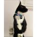 Kittyrama Reflective Cat Charm - Safety Cat Tag for High Visibility, Waterproof, Fits All Collars - Blue Ninja Style - Buy Online on SooperMarket.com