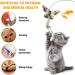 DONGKER 8pcs Cat Rod Replacement Feathers Interactive Cat Replacement Feathers With Bell for Cat Wand Toys Chasing Toys - Buy Online on SooperMarket.com