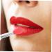 Healeved 6pcs Lip Brush Lip Balm Brush Lipstick Brush Makeup Lipstick Applicator Eyeshadow Applicator Lip Balm Applicator Silicone Lip Mask Brush Eyeshadow Makeup Brush Lip Makeup Pen - Buy Online on SooperMarket.com